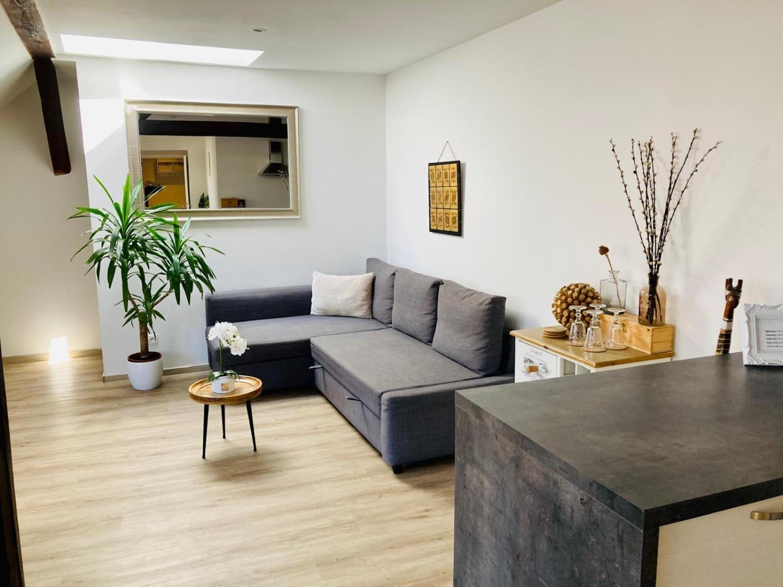 Vip Apartment In Old Town With Free Parking Братислава Екстериор снимка