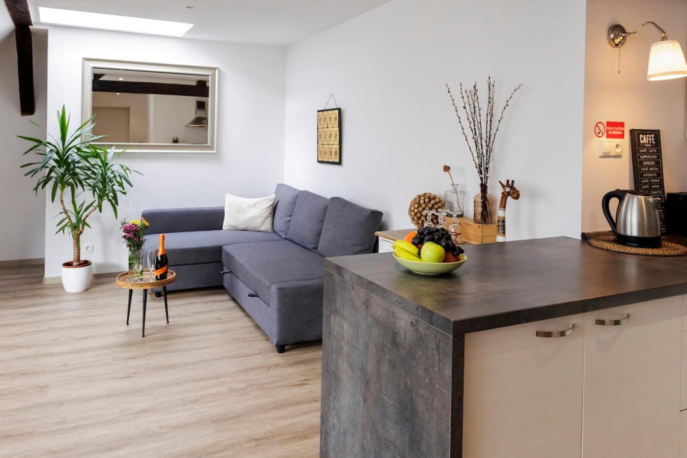 Vip Apartment In Old Town With Free Parking Братислава Екстериор снимка